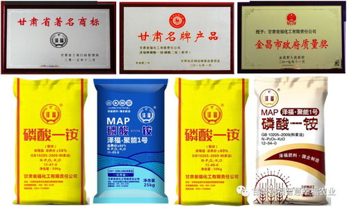 甘肃瓮福一铵产销两旺 筑起高质量发展亮丽风景线